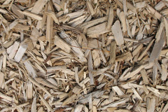 biomass boilers Mauricewood